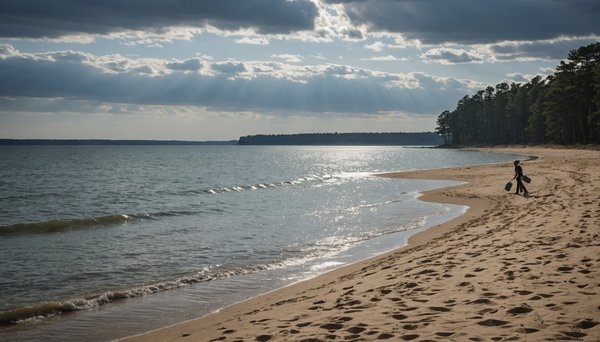Évadez-vous au bord du lac de biscarrosse dans les landes