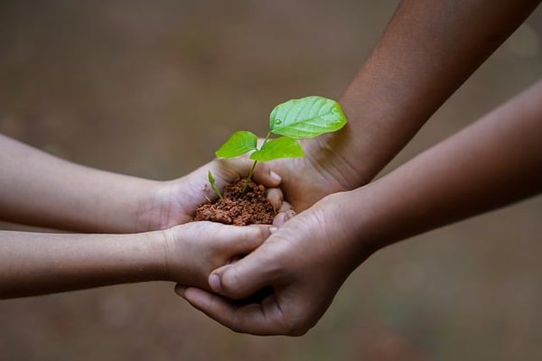 Comment le camping peut-il contribuer à la protection de l'environnement ?
