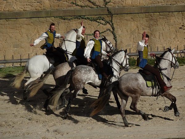Séjourner dans un camping détente au Puy du Fou : toutes les dernières actualités ?