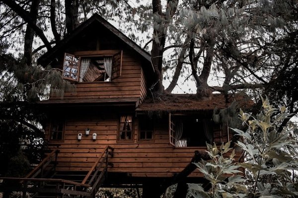 Dormir en Haut : Expérience Unique d'une Nuit en Cabane dans les Arbres en Auvergne
