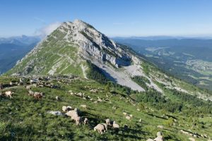 Les meilleurs sites pour camper en Auvergne, entre volcans et lacs